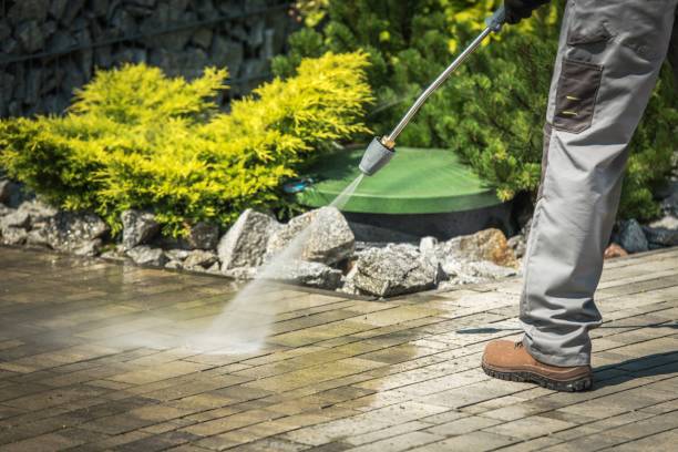 Best Winterizing Services  in Franklinville, NJ